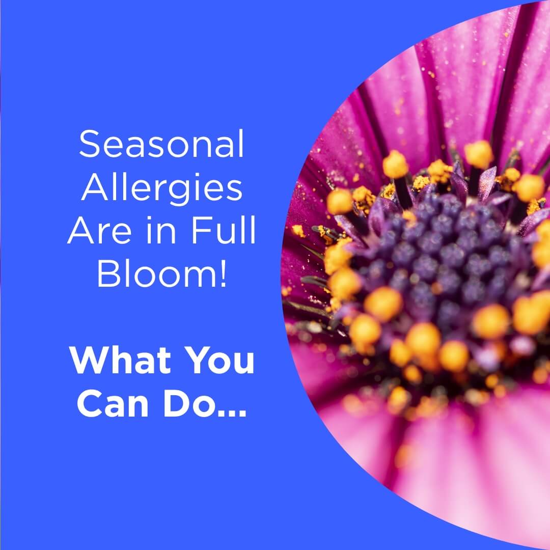 Stunning Seasonal Eye Allergies Photo for Mobile Stunning Seasonal Eye Allergies Photo for Mobile